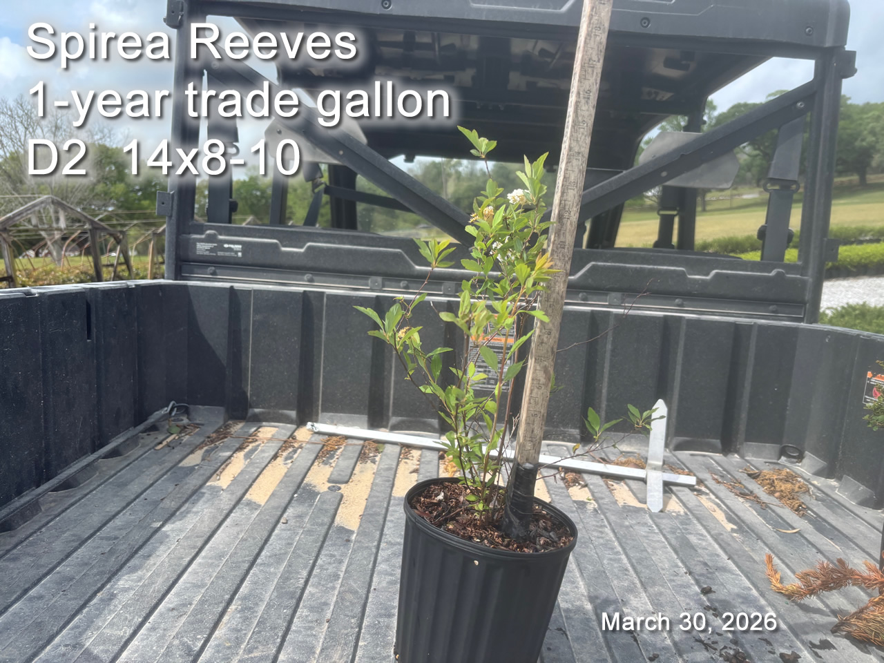 gallery/srv1yt d2 mar30.jpg